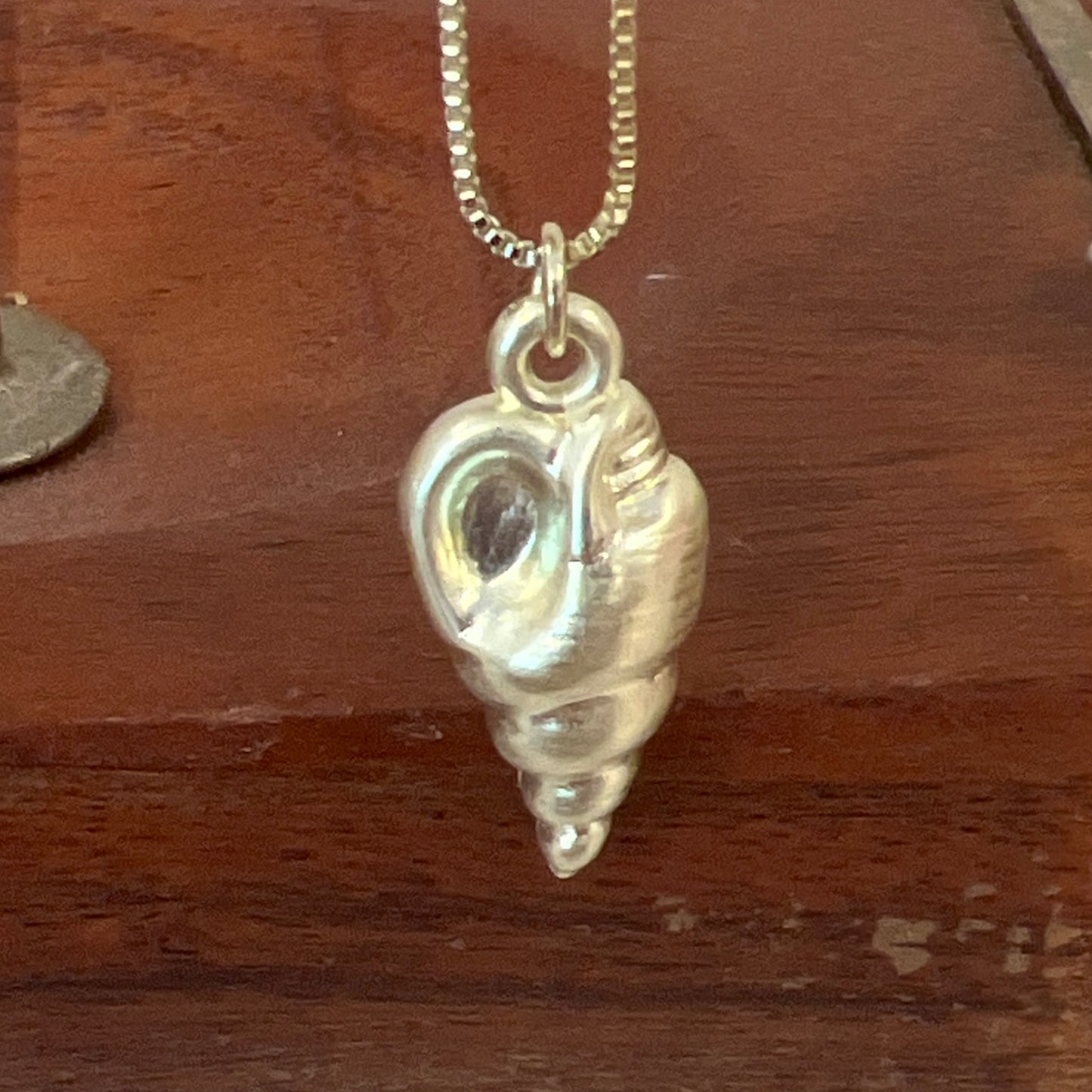 SF seashell charm necklace