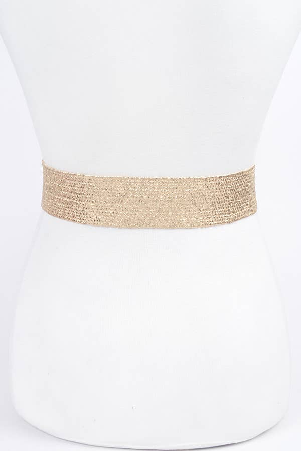 Metallic Stretch Belt w/Pearl Metal Bucklt