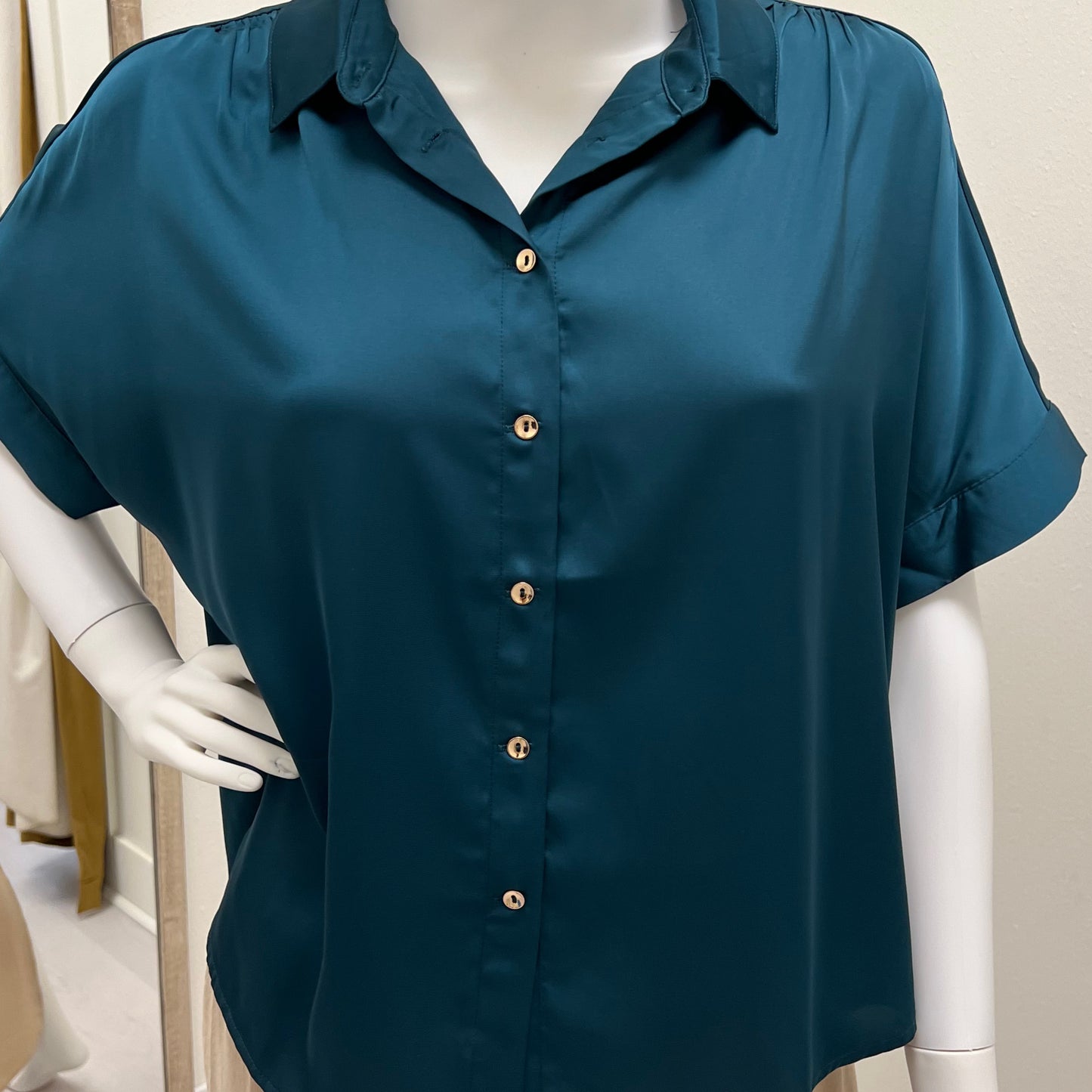 Eesome teal blouse